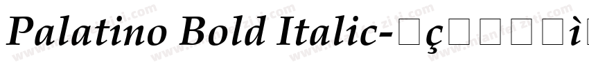 Palatino Bold Italic字体转换